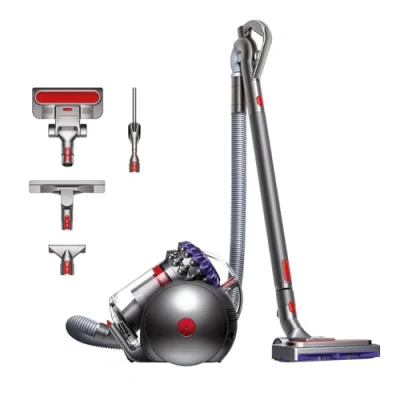 Image de Dyson Big Ball Parquet 2
