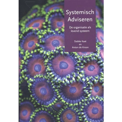 Afbeelding van Systemisch adviseren