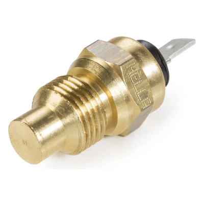 Afbeelding van Hella Temperatuursensor 6PT 009 107 171