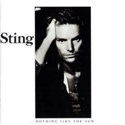 Image de Nothing like the sun