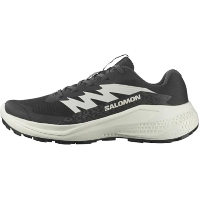 Afbeelding van Salomon Alphaglide Trail hardloopschoenen, Heren, Maat: 48, Black/phantom/icicle Textiel/ synthetisch
