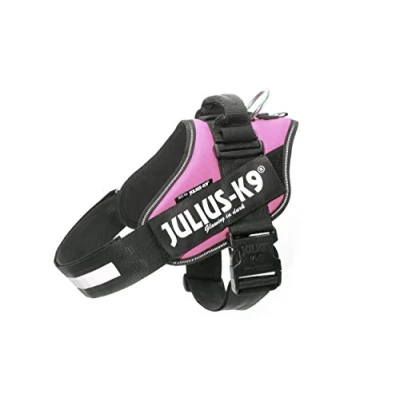 Afbeelding van WERELD BEKENDE JULIUS K9 IDC POWERTUIG VOOR TEKSTLABELS ROZE MAAT 2