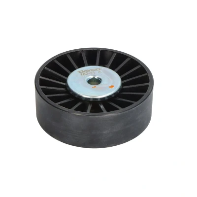 Afbeelding van DAYCO APV2645 Geleiderol