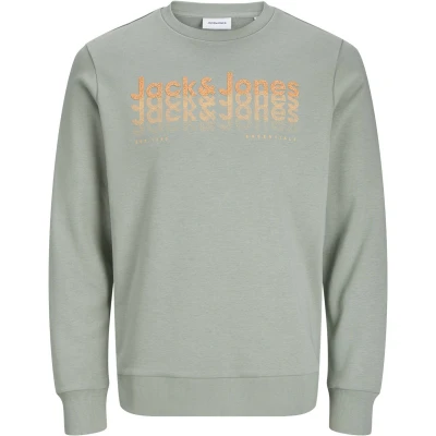 Afbeelding van JACK&amp;JONES JJTEX SWEAT CREW NECK Heren Trui Iceberg Green