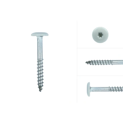 Afbeelding van Wovar Kleurkopschroeven Crème rvs 4.8 x 25 mm Doos 100 Stuks