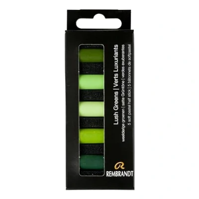 Afbeelding van Rembrandt softpastel half 5 Weelderige groenen