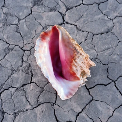 Afbeelding van The Killers Wonderful (CD) (Deluxe Edition)