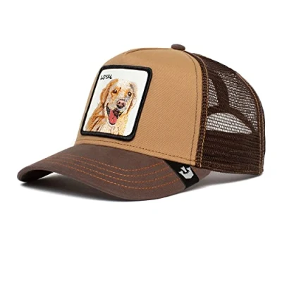 Afbeelding van Goorin Bros THE Loyal DOG Pet, Heren, Maat: One Size, Braun