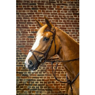 Afbeelding van Dyon Hoofdstel X Fit Bruin Full