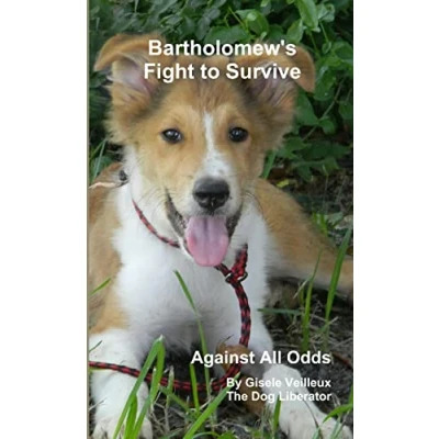 Afbeelding van Against All Odds Bartholomew&#039;s Fight to Survive
