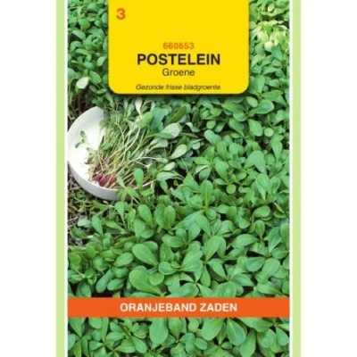 Afbeelding van Postelein groene