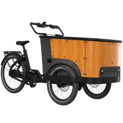 Afbeelding van Cangoo Buckle Up Elektrische bakfiets 700Wh Zwart mat