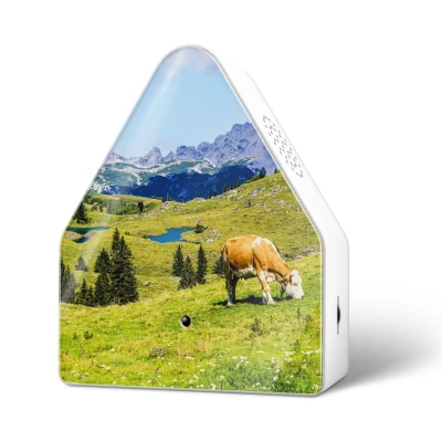 Afbeelding van Relaxound Heidibox Alpine Meadow