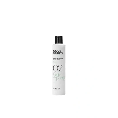 Afbeelding van Artego Good Society Rich Color Shampoo 02 250ml