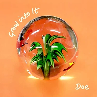Afbeelding van GROW INTO IT/LP