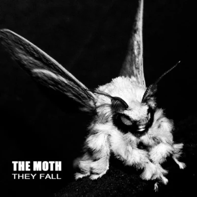 Afbeelding van Moth They Fall (LP)