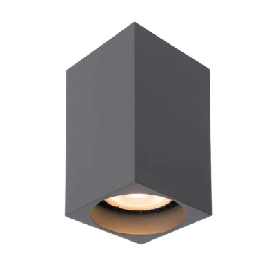 Afbeelding van Lucide DELTO Plafondspot 1xGU10 Grijs