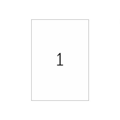 Image de HERMA Special étiquettes pelliculées 10 étiquette(s)