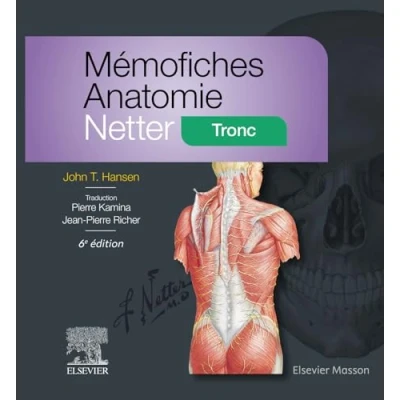 Afbeelding van Mémofiches Anatomie Netter Tronc