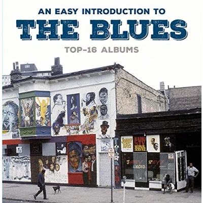 Afbeelding van An Easy Introduction To The Blues (Top 16 Albums)
