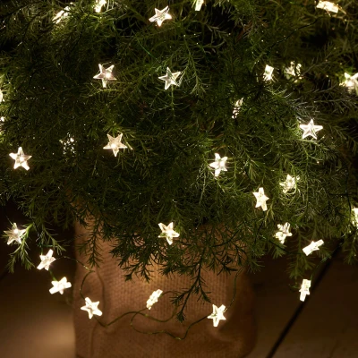 Afbeelding van LED lichtketting Trill, 40 lampjes, groene kabel