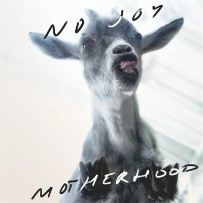 Afbeelding van No Joy Motherhood (LP) (Coloured Vinyl)