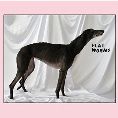 Afbeelding van Flat Worms (LP)