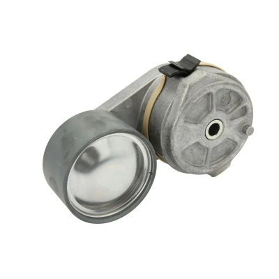 Afbeelding van DAYCO APV1095 Riemspanner