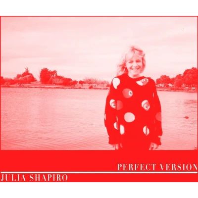 Afbeelding van Julia Shapiro Perfect Vision (CD)