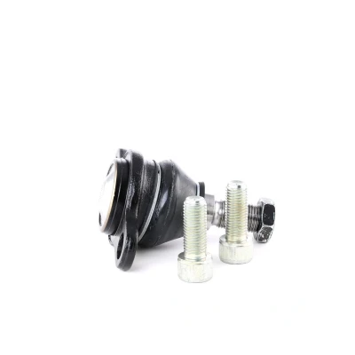 Afbeelding van Skf Fuseekogel VKDS 311024