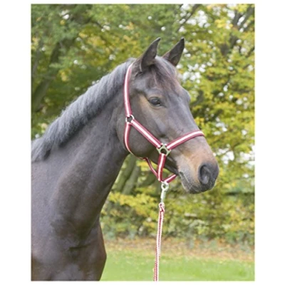 Afbeelding van Covalliero Nylonhalster Hippo Bordeaux/Beige Full