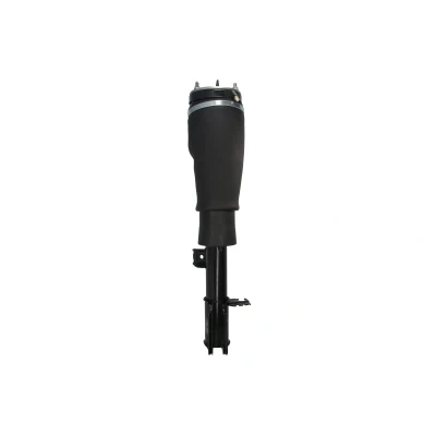 Afbeelding van Magnum Technology APL017MT Pneumatischeveerpoot Links voor LAND ROVER: Range Rover 3