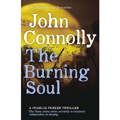 Afbeelding van Burning Soul