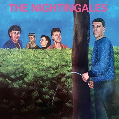 Afbeelding van Nightingales In The Good Old Country Way (2 LP)