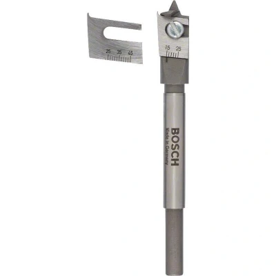 Afbeelding van Bosch Accessories 2608596333 Hout freesboor 45 mm Gezamenlijke lengte 120 Zeskant schacht 1 stuk(s)
