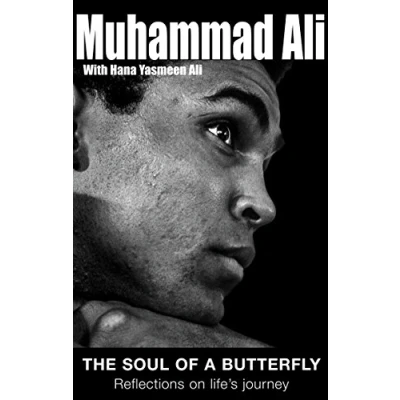 Afbeelding van Soul Of A Butterfly
