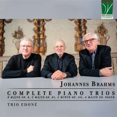 Afbeelding van Trio Edoné Johannes Brahms: Complete Piano Trios (2 CD)