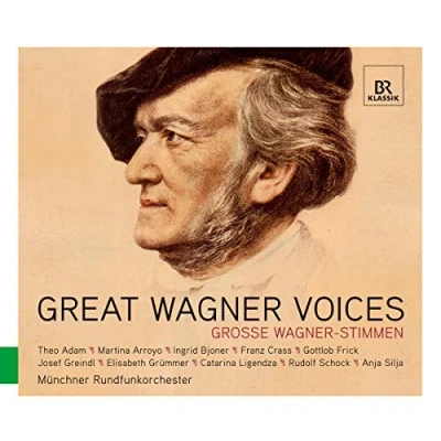 Afbeelding van Various Artists Great Wagner Voices (CD)