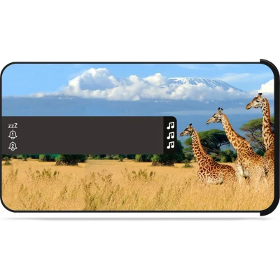Afbeelding van Bigben Kinderwekker met Geluidseffecten Safari