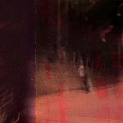 Afbeelding van Talvihorros Eaten Alive (LP)
