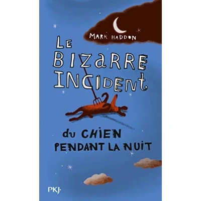 Afbeelding van ISBN 9782841113057, Frans, Paperback, 304 pagina&#039;s
