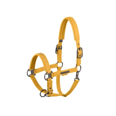 Image de Eskadron Licol Faux Leather Platinum &#039;25 Golden YellowVendu par Agradi