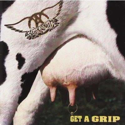 Afbeelding van Aerosmith Get A Grip (CD)