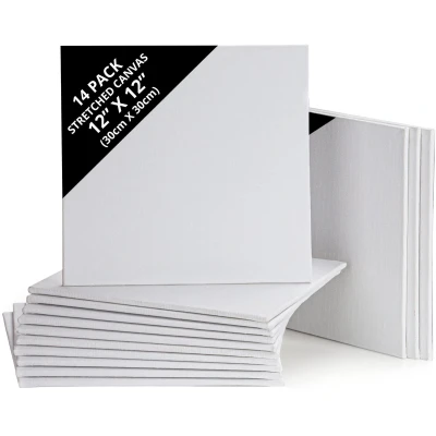 Afbeelding van Belle Vous 14 Pak Blank Canvas 30 x cm Kleine Voorgerekte Paneel Borden Geschikt Voor Acryl en Olieverf, Maar ook Schetsen Tekenen