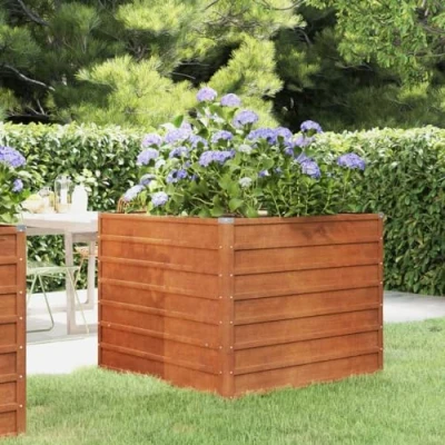 Afbeelding van vidaXL Verhoogd bed voor de tuin, roestkleurig, 100 x 77 cm, cortenstaal