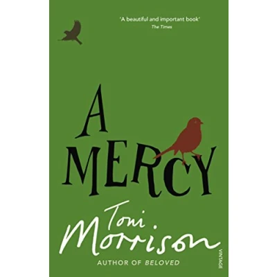 Afbeelding van Mercy