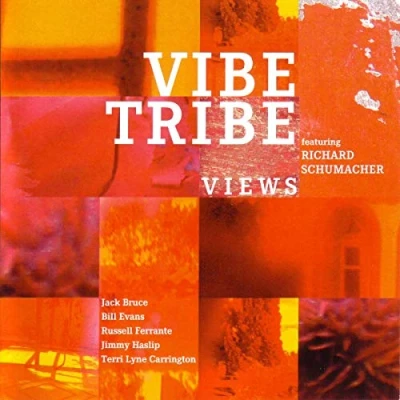 Afbeelding van Vibe Tribe Views (CD)
