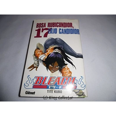 Afbeelding van BLEACH Tome 17
