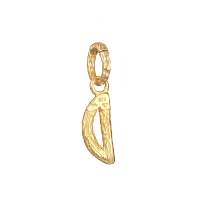 Afbeelding van Elli Organic Letter D Hanger goldcoloured, Dames, Maat: One Size, Gold coloured