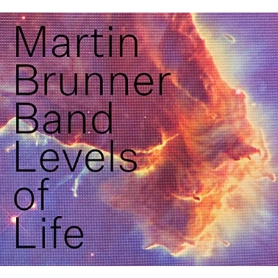 Afbeelding van Martin Brunner Band Levels Of Life (CD)